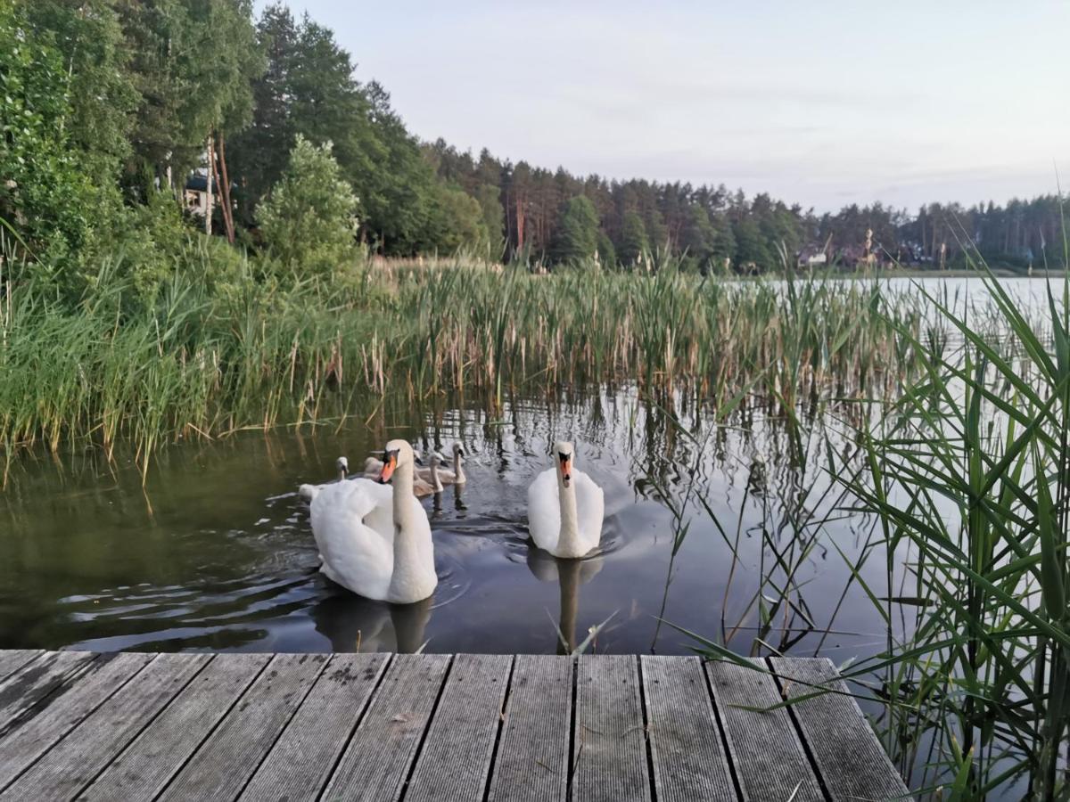 Vila Sosnowy Azyl Wąglikowice Exteriér fotografie