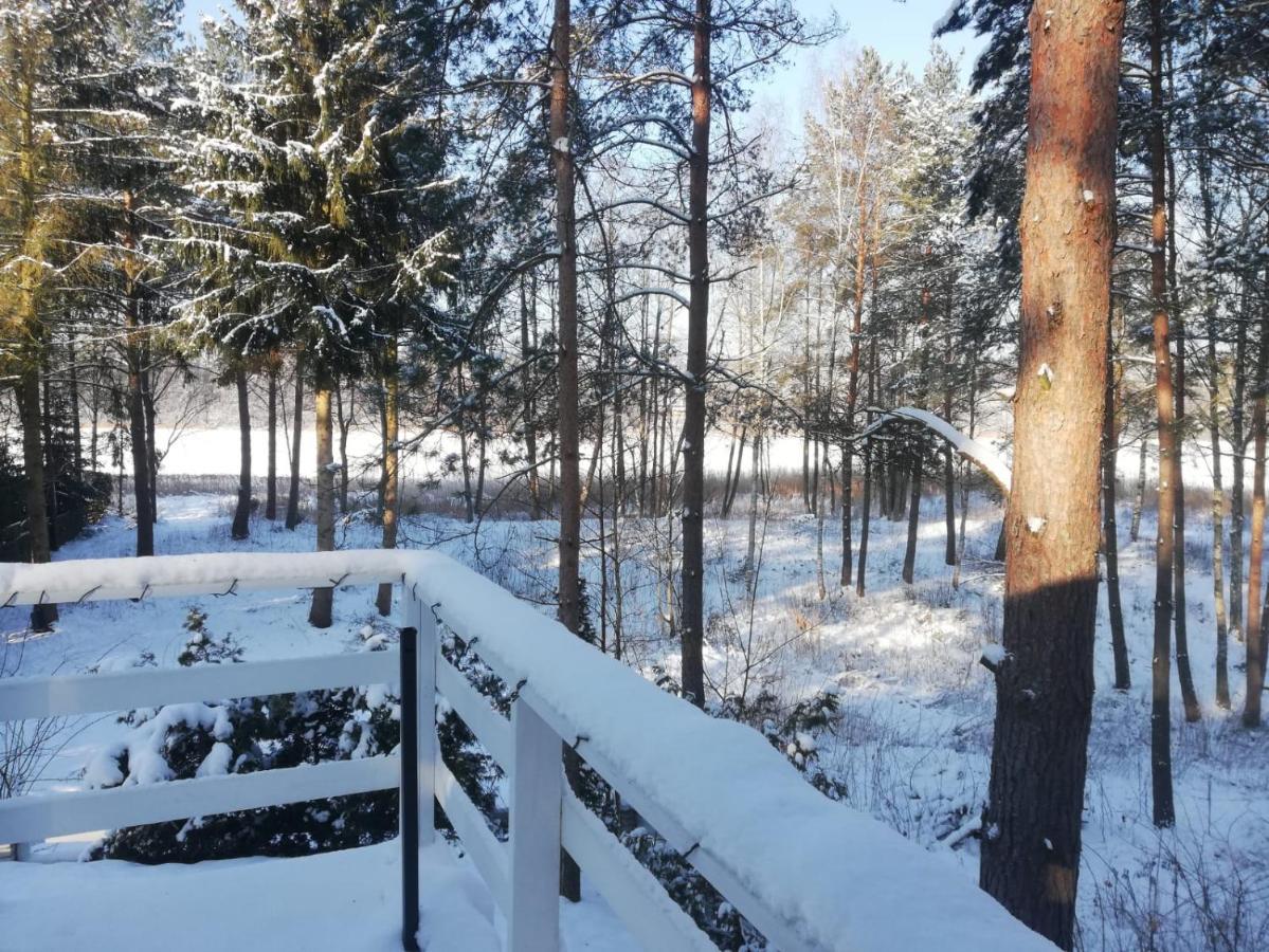 Vila Sosnowy Azyl Wąglikowice Exteriér fotografie