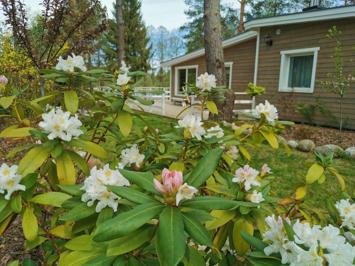Vila Sosnowy Azyl Wąglikowice Exteriér fotografie