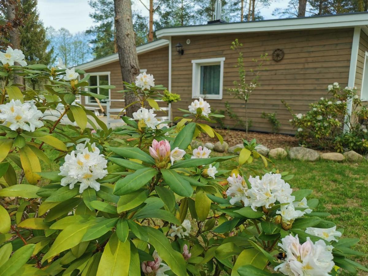 Vila Sosnowy Azyl Wąglikowice Exteriér fotografie