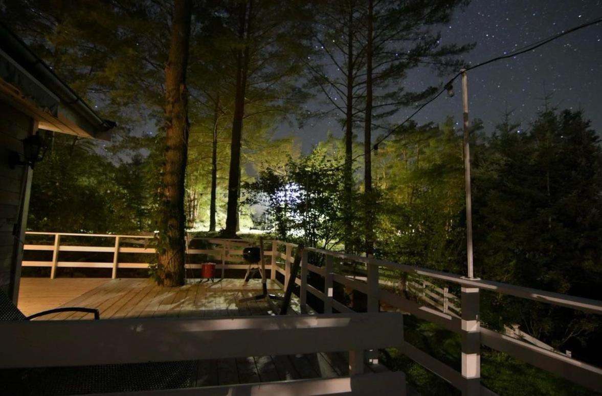 Vila Sosnowy Azyl Wąglikowice Exteriér fotografie