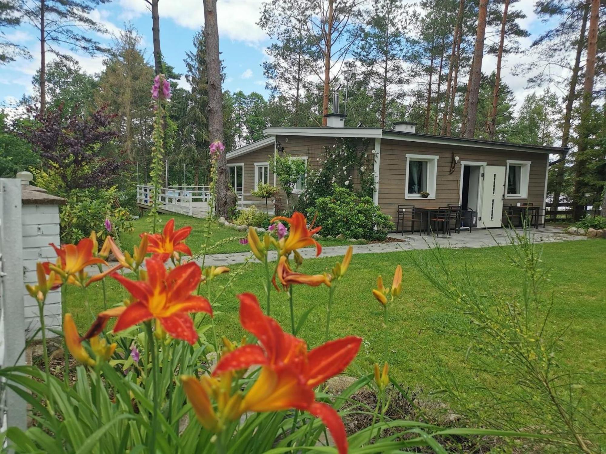Vila Sosnowy Azyl Wąglikowice Exteriér fotografie