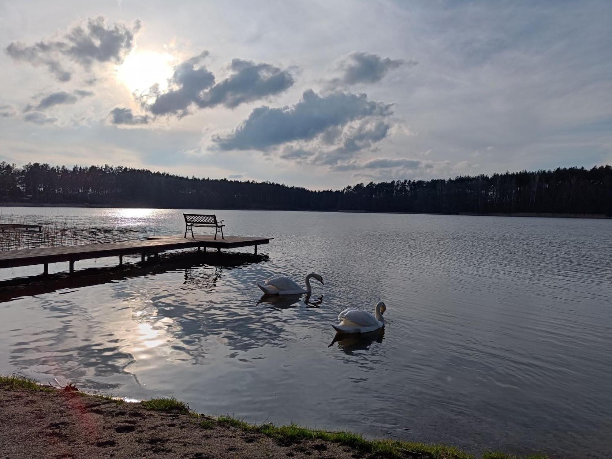 Vila Sosnowy Azyl Wąglikowice Exteriér fotografie